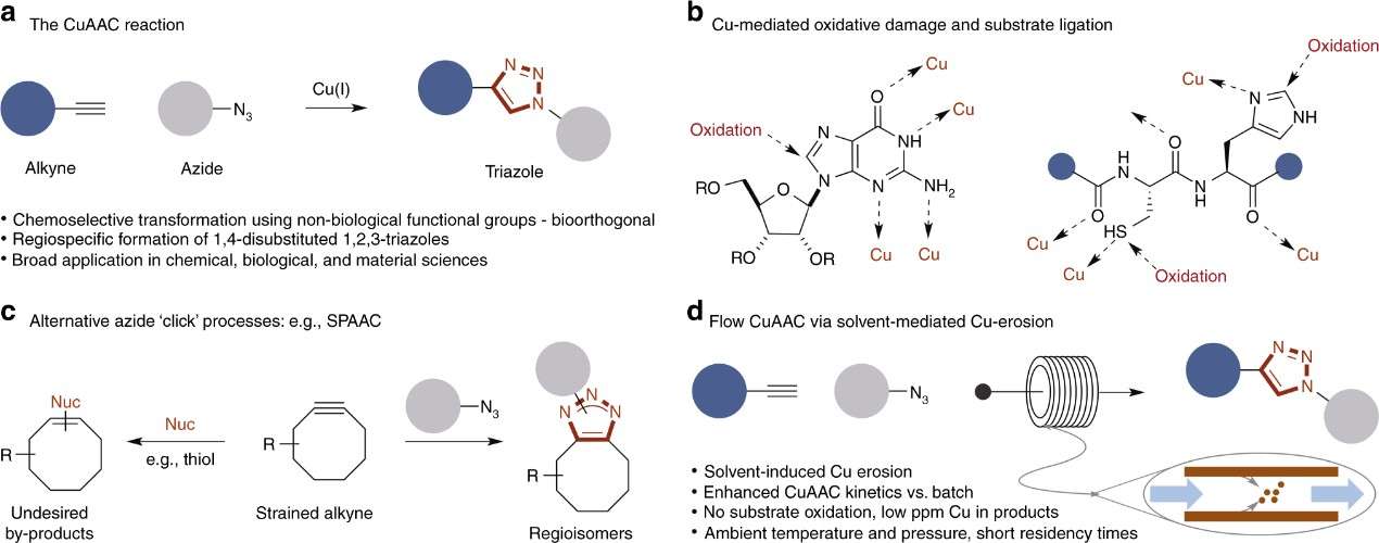 GMP Production of Click Chemistry-Based Nanodrugs