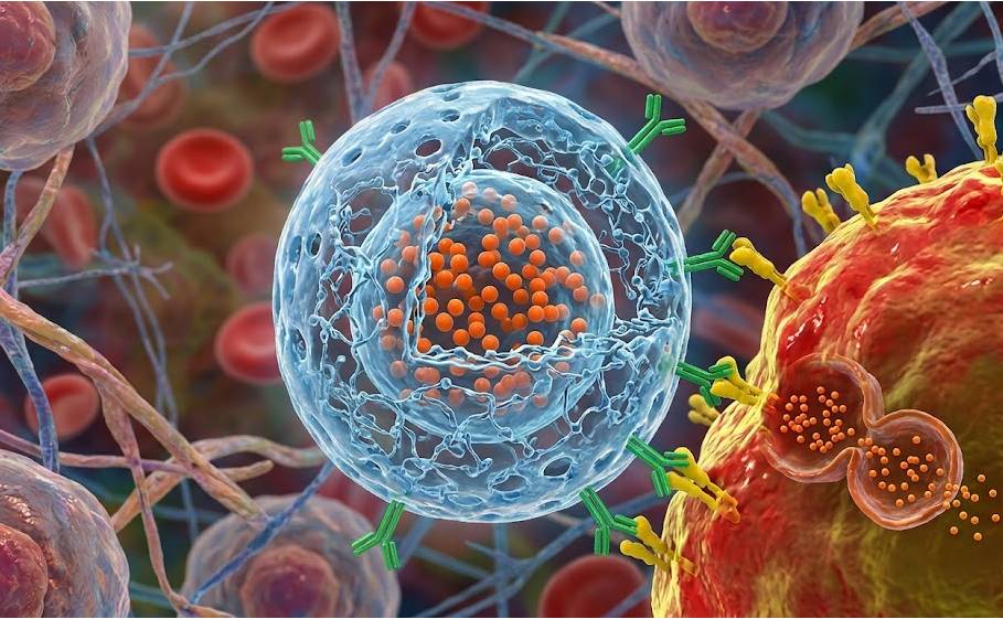 HA-Nanoparticles: Smart Delivery, Better Targeting
