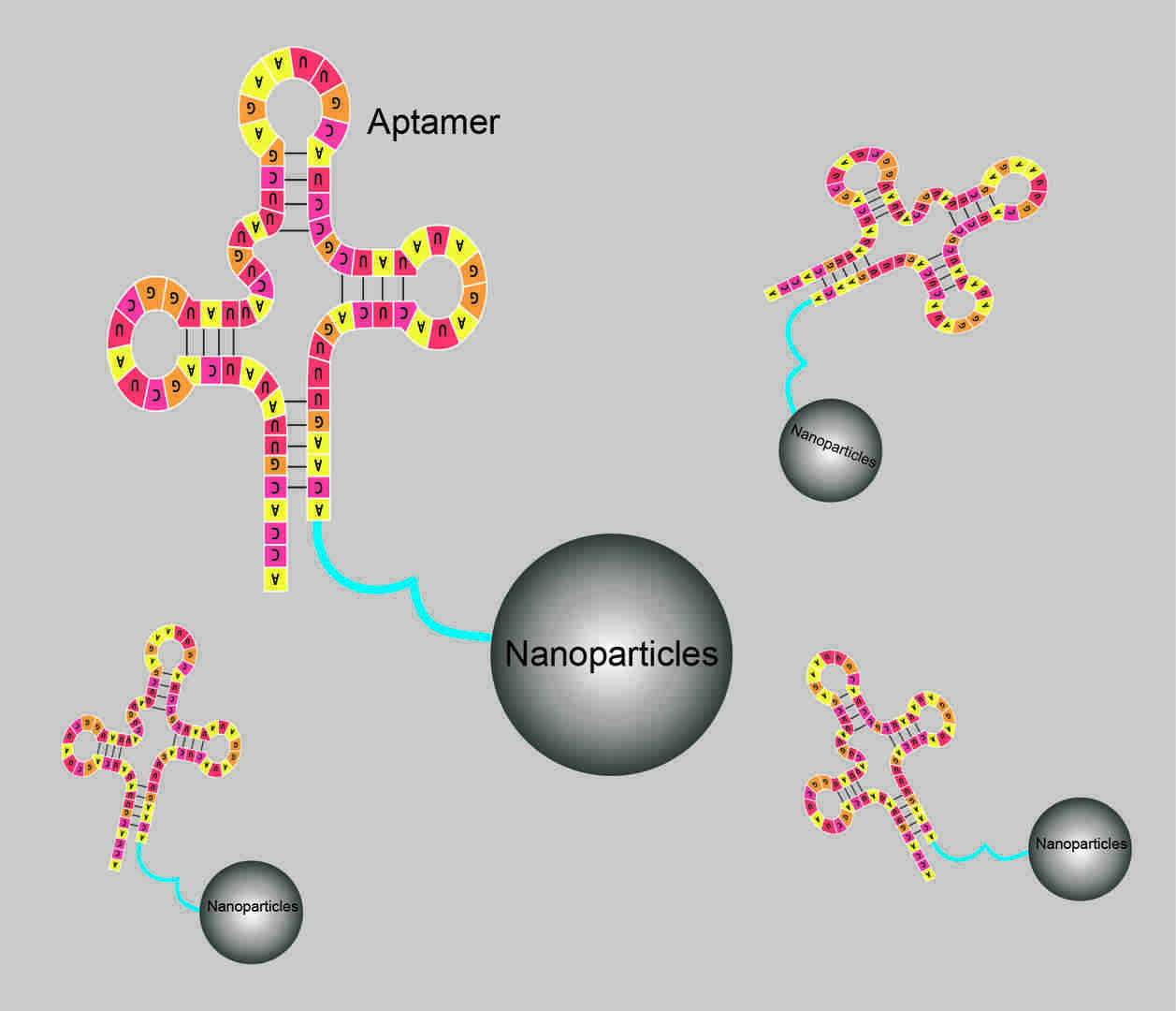 High-efficiency Aptamer-Nanocarrier Conjugation
