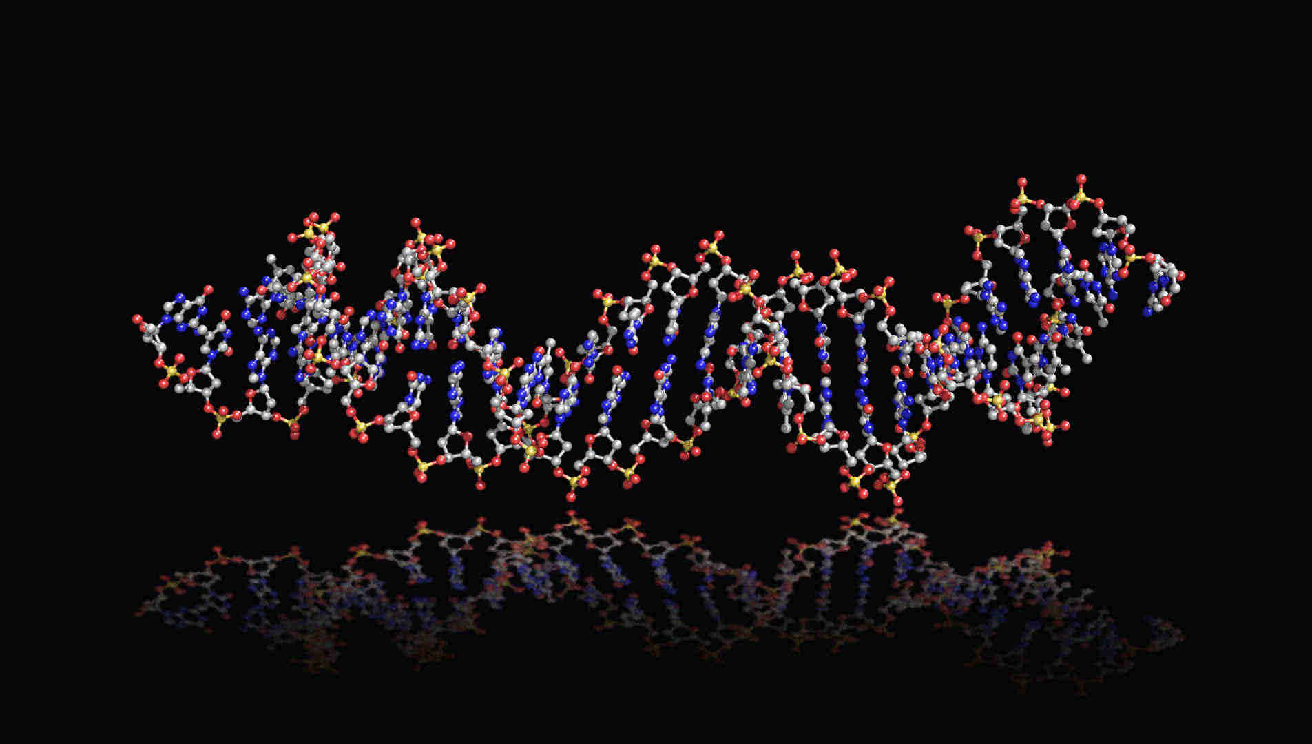 High-Throughput Aptamer Screening