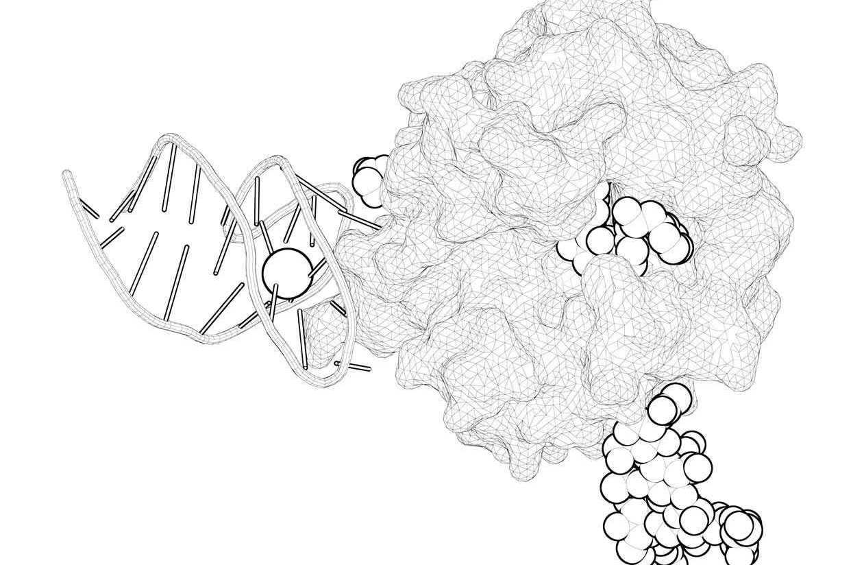 Highly Selective and Stable Aptamer-Drug Conjugates