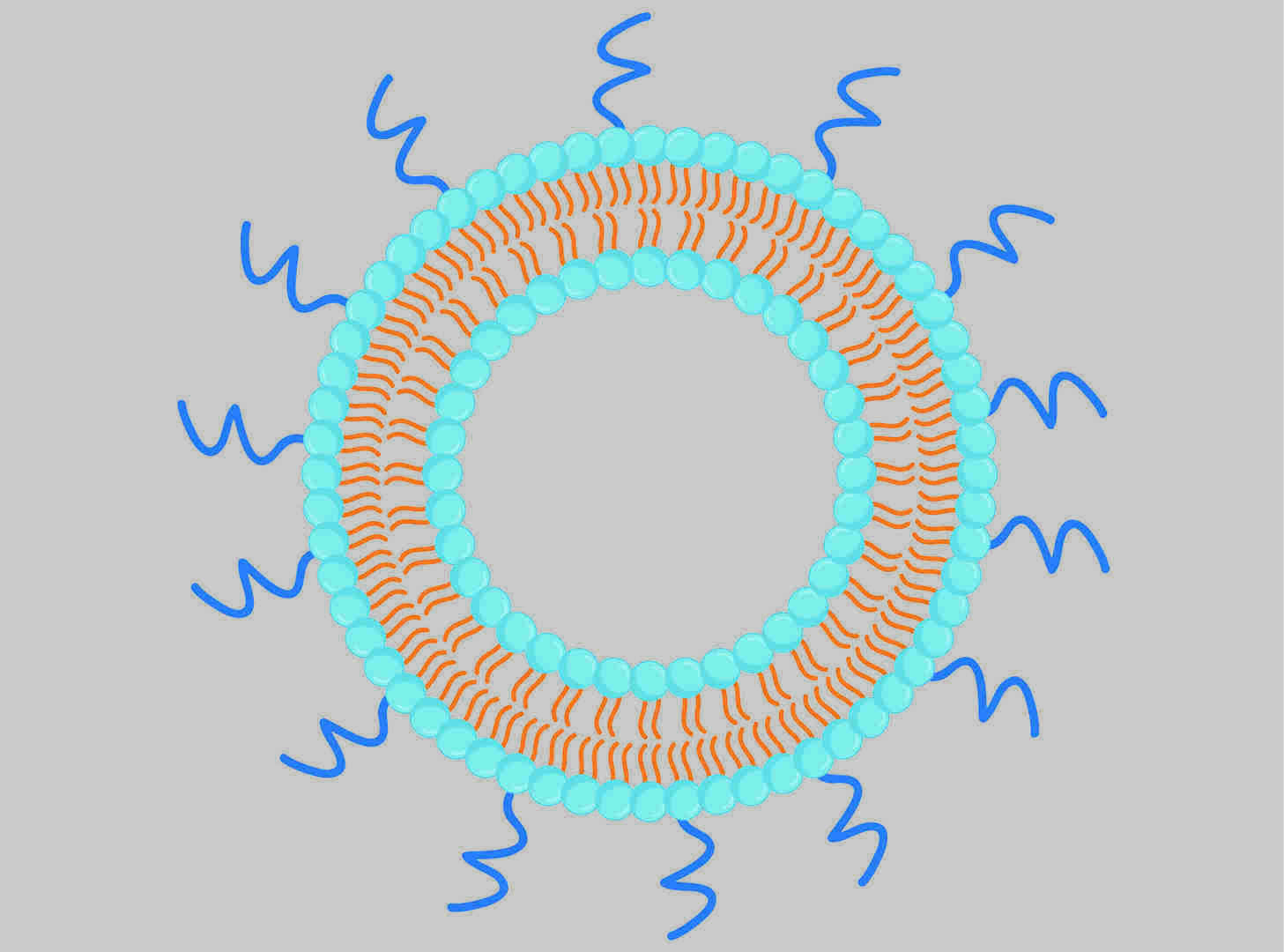 Highly Uniform Liposome-Nanoparticle Conjugates