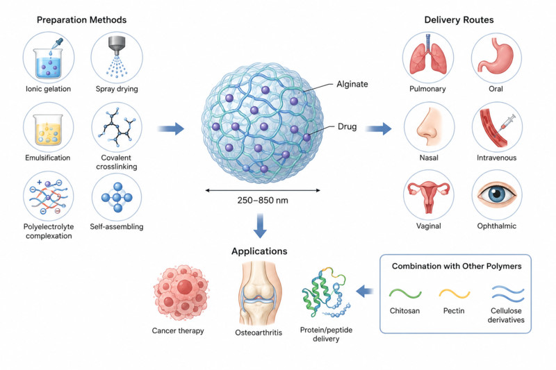 How are Alginates Used for Drug Delivery?