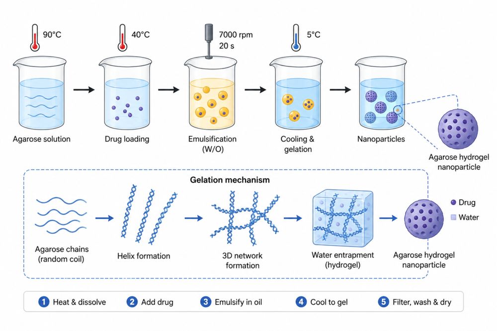 How does Agar form Nanoparticle Carriers?