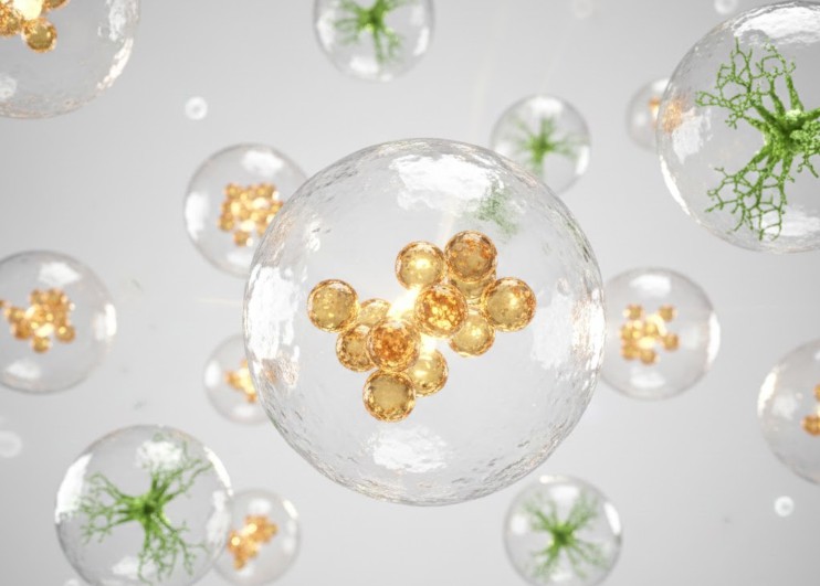 How is Liposome Technology Changing the Food Industry?