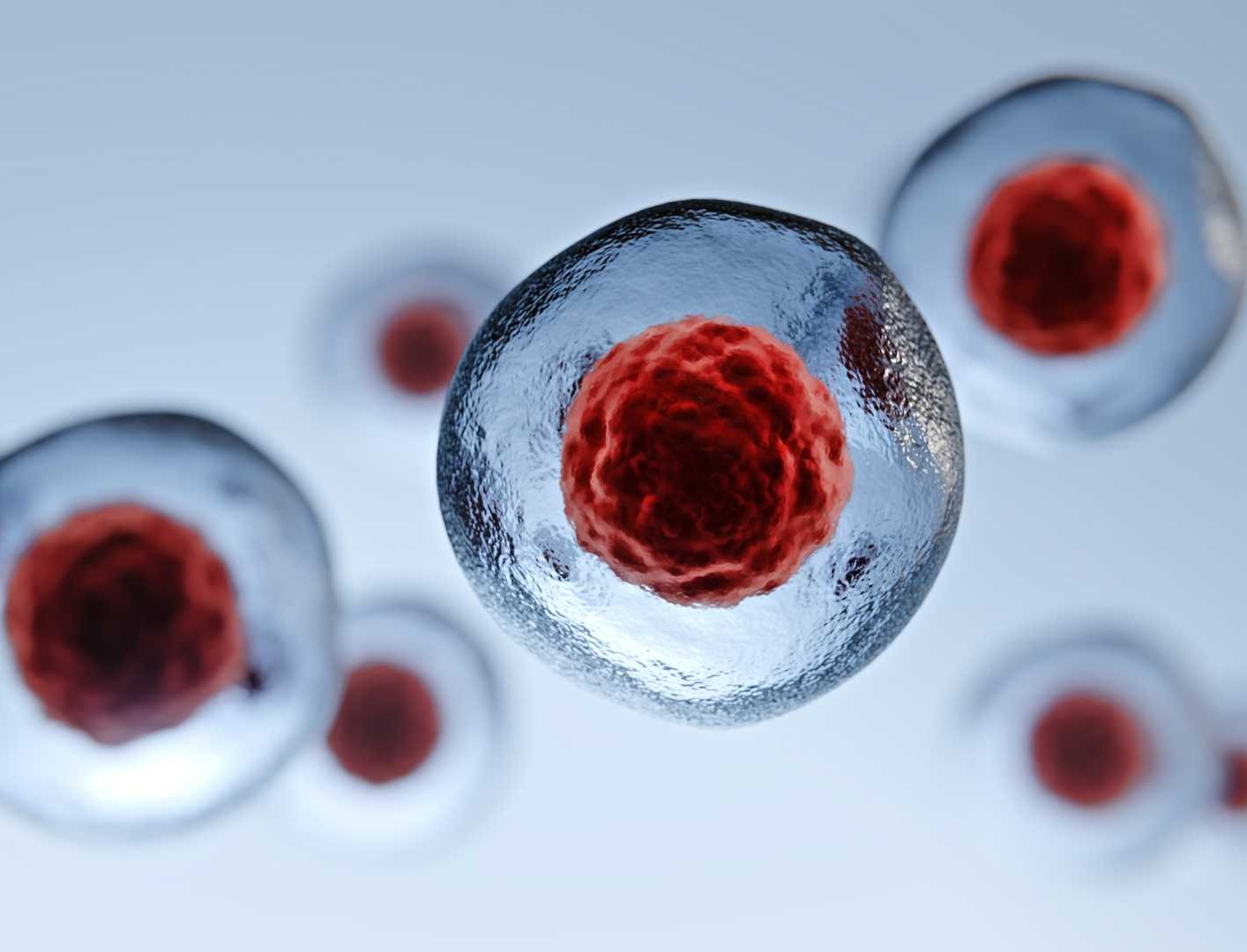 Customized Live Cell Delivery System