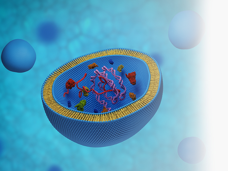 Long-circulating PEGylated Liposomes - CD Bioparticles