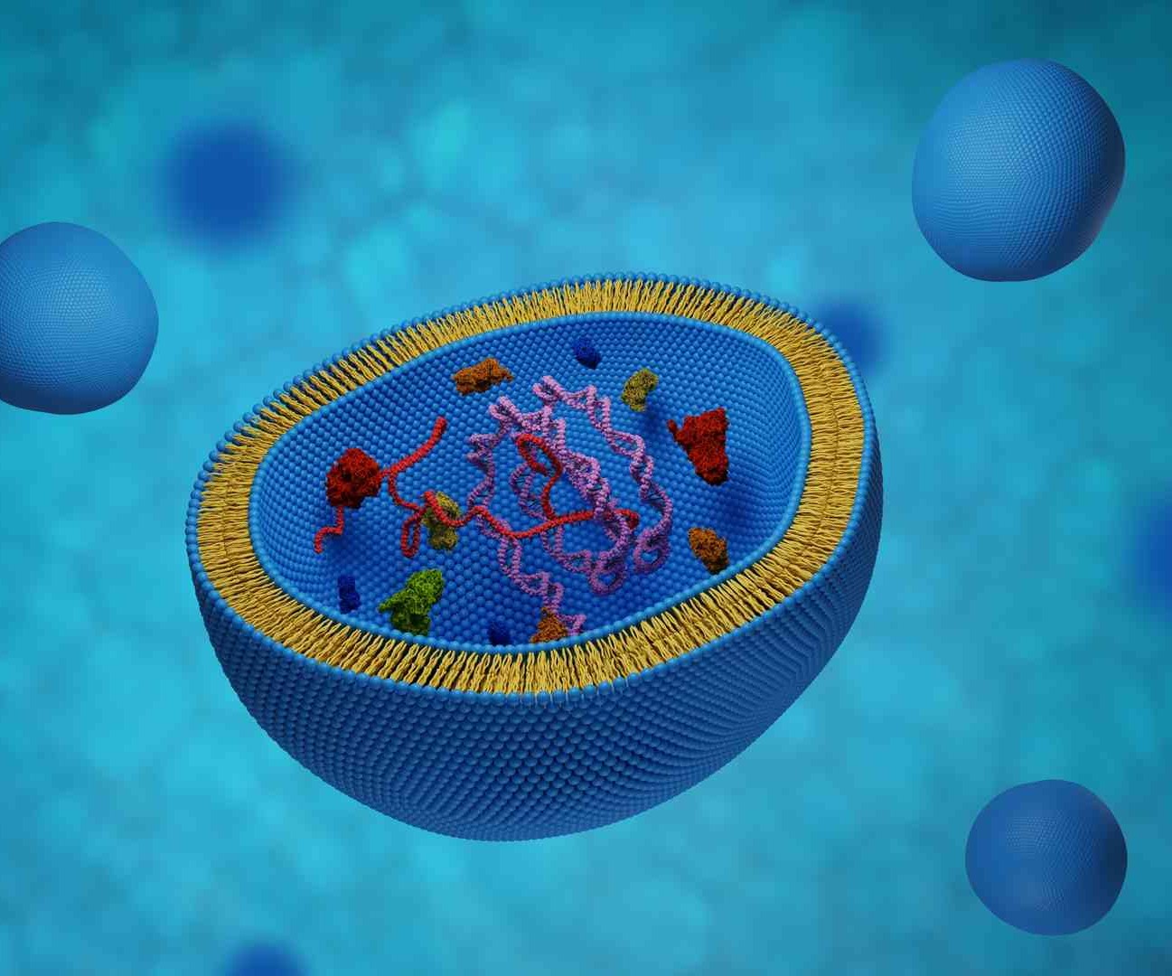 Long-circulating PEGylated Liposomes