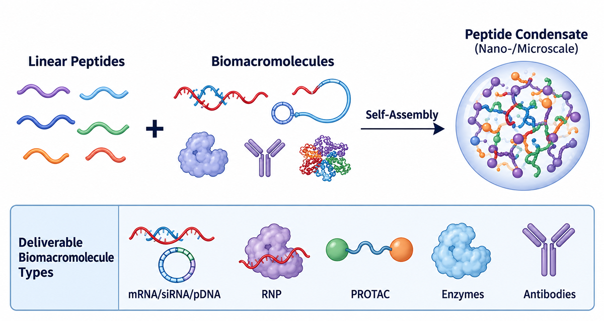 mRNA Transfection Kit (Stem Cell)-Case Study