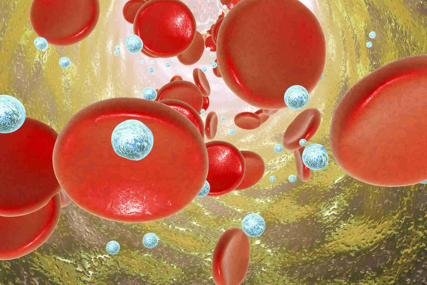 Nanoparticles in vivo Behavior Prediction
