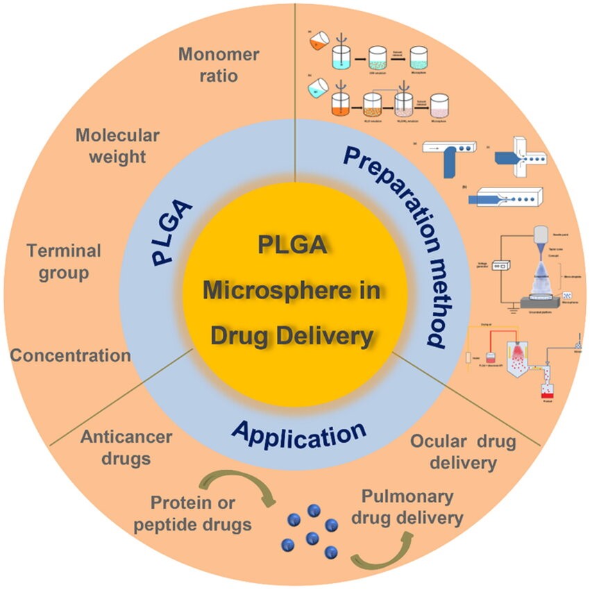 Optimization Strategy of PLGA Microspheres for Sustained-Release Delivery of Protein/Peptide Drugs