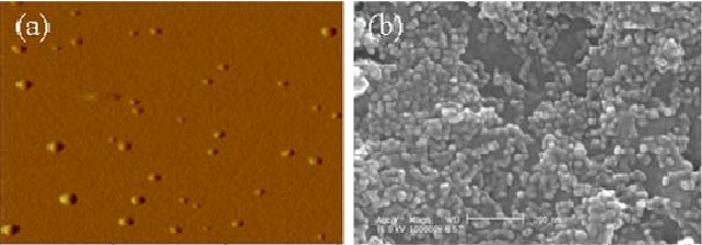 P(4HB)-mPEG Nanocarriers for Cancer Therapy