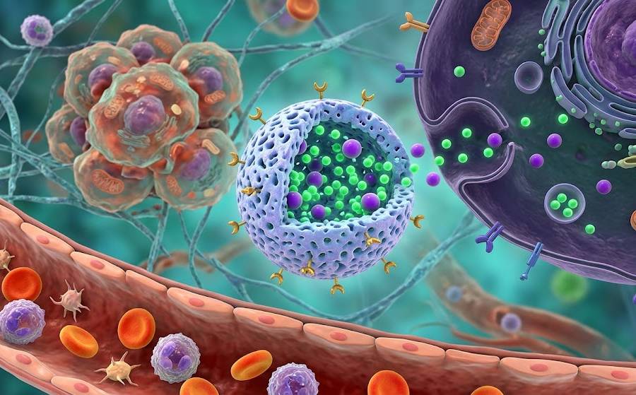 PGA:A High-Performance Polymer for Precision Drug Loading