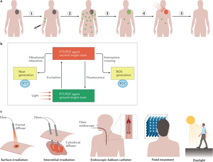 Photothermal Synergistic Dextran Drug Delivery System to Achieve Precision Cancer Treatment