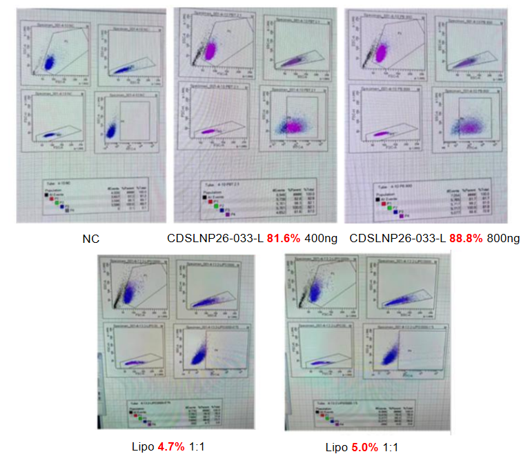 Plasmid Transfection Kit-Case Study