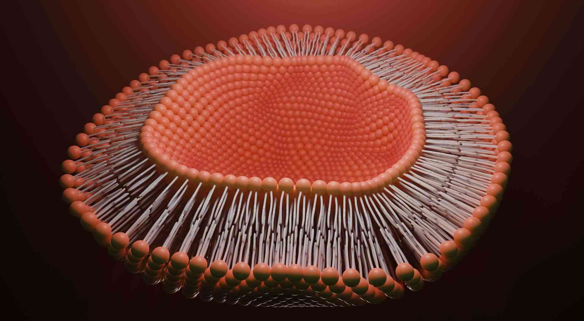Precision Drug Delivery with Tissue-Targeted Liposomes