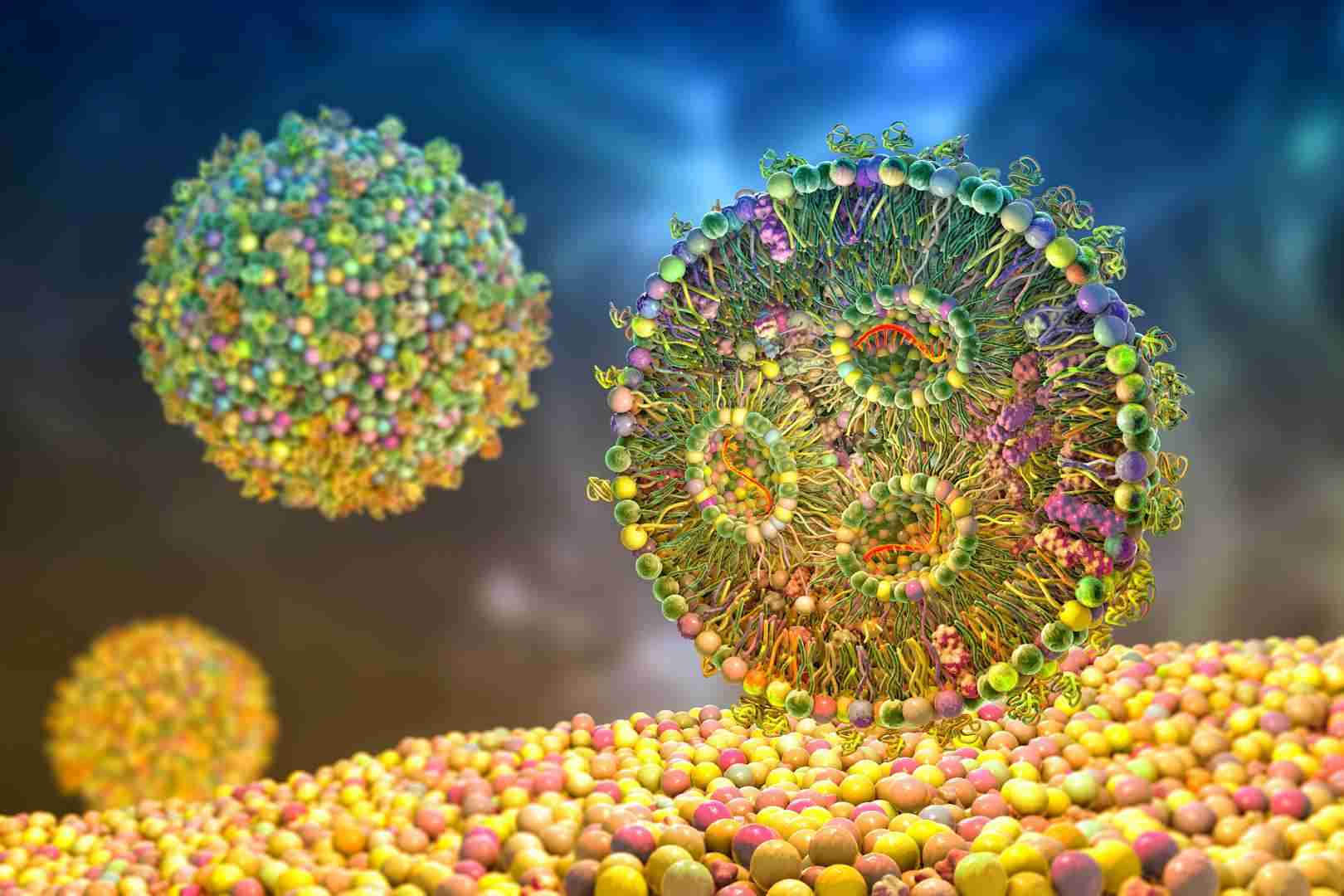 Premium Antibody-LNP Conjugation Service