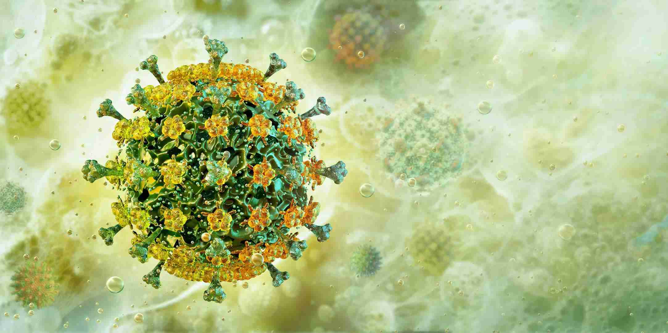 Rapid Animal mRNA Vaccine Solutions