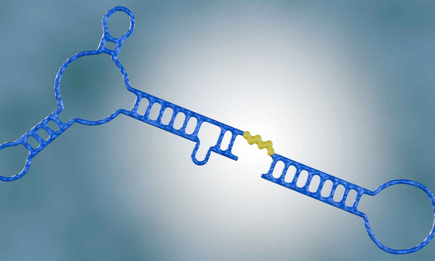 Reliable Pharmacokinetic Analysis of Aptamer-Conjugated Nanocarriers