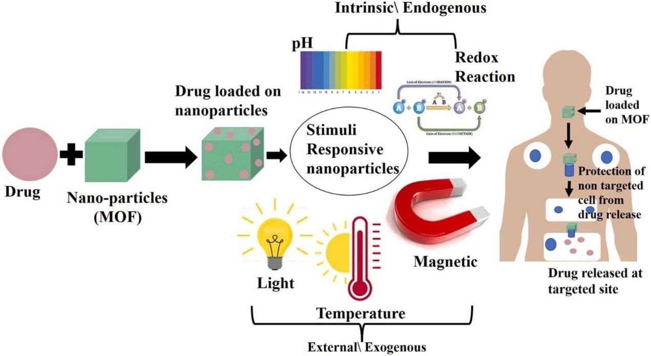 Research Progress on Degradation Behavior and Application of PLGA