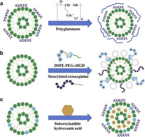 Research Progress of Cationic liposomes in Gene Therapy