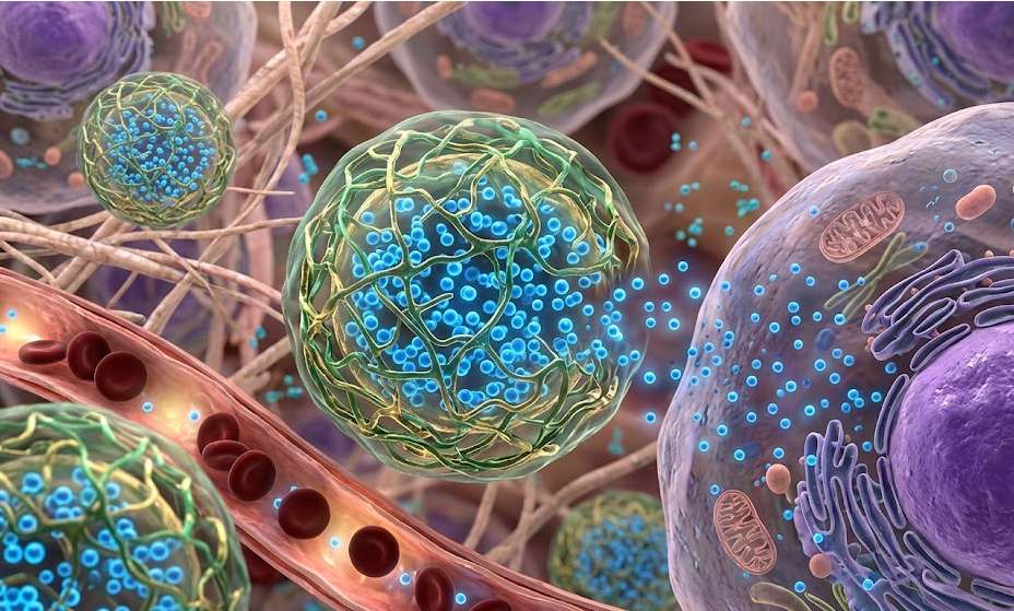 Smart Carrageenan Nanogels for Triggered Drug Release