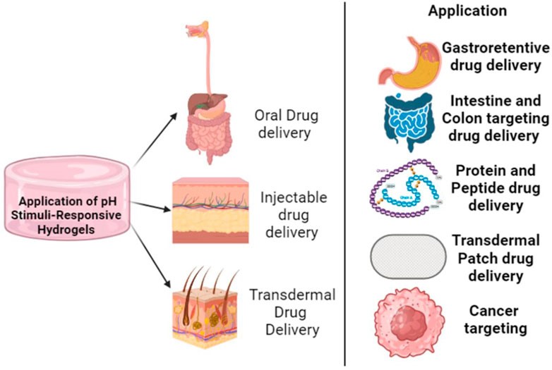 Smart Drug Controlled Release of pH-Responsive Dextran Hydrogels