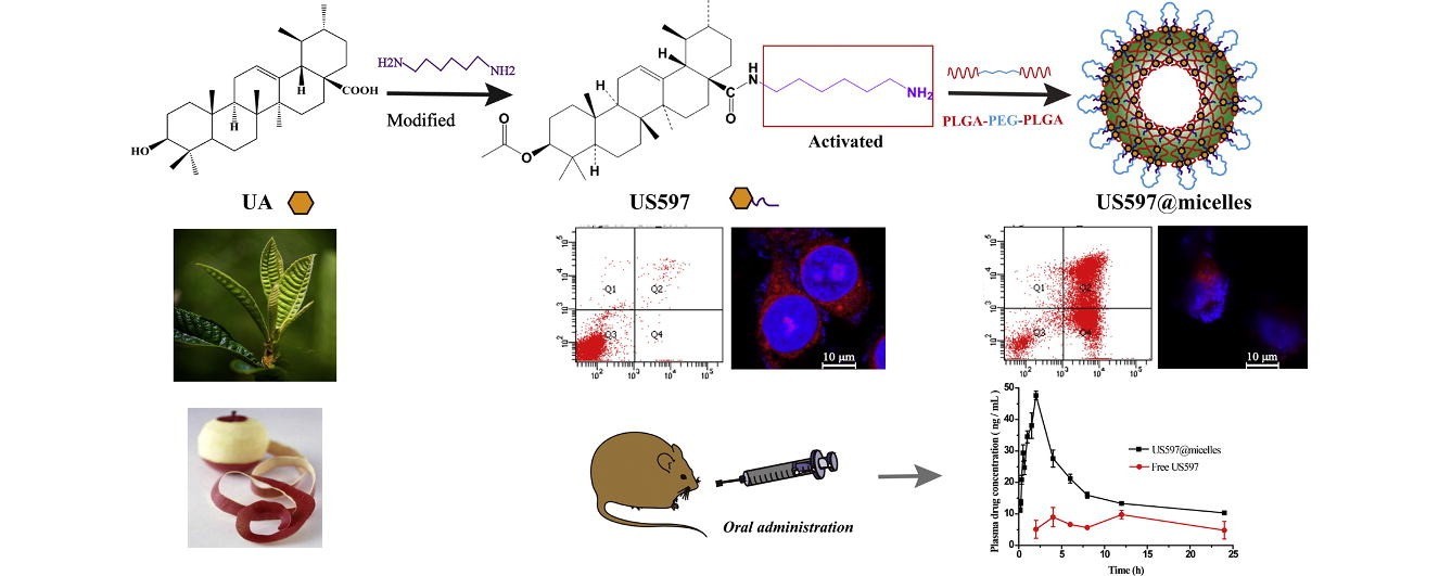 Study on the in Vivo Pharmacokinetics of PLGA-PEG-PLGA
