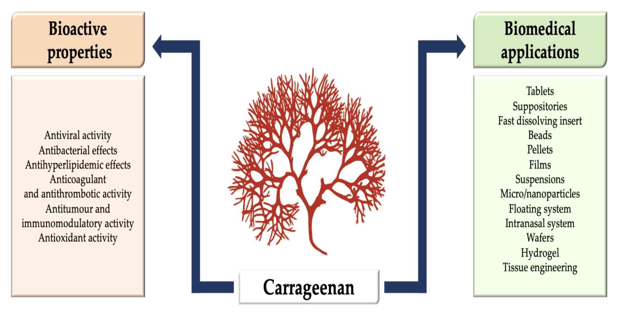 Study on the Properties and Application of Κ-Carrageenan