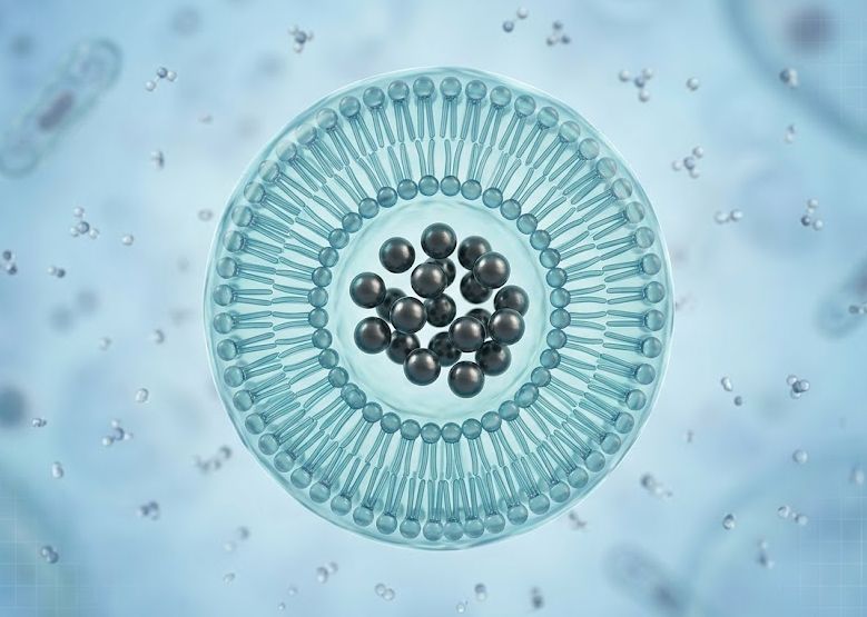 The GPS for Drugs: Precision Delivery via Magnetic Liposomes