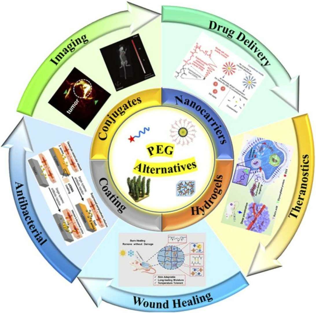 What are the Applications of Polyethylene Glycol Polymers?