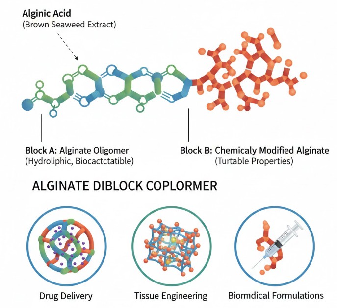 What is an Alginate Diblock Copolymer?