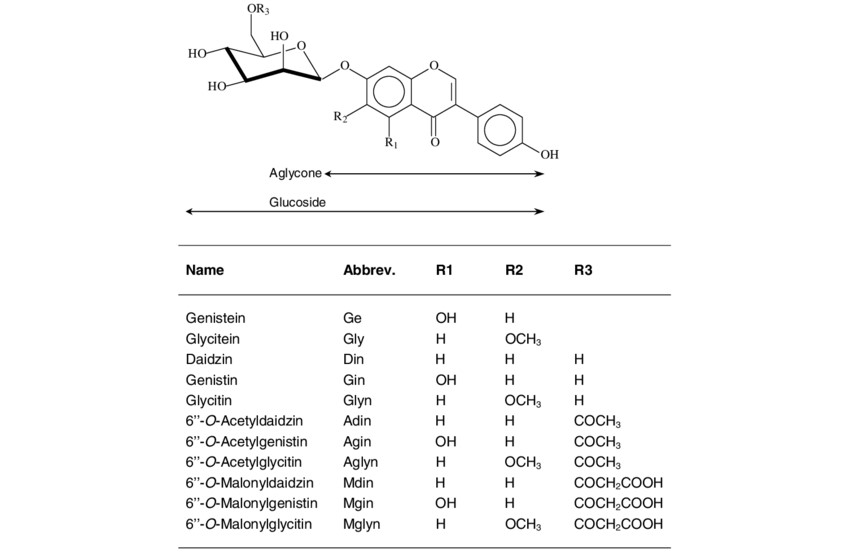 What is Soybean Isoflavones?