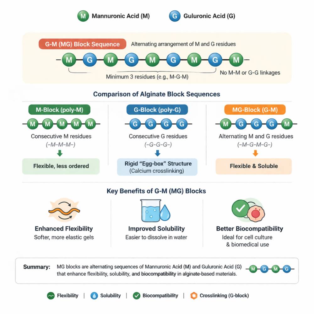 What is the G-M Block Sequence in Alginate?