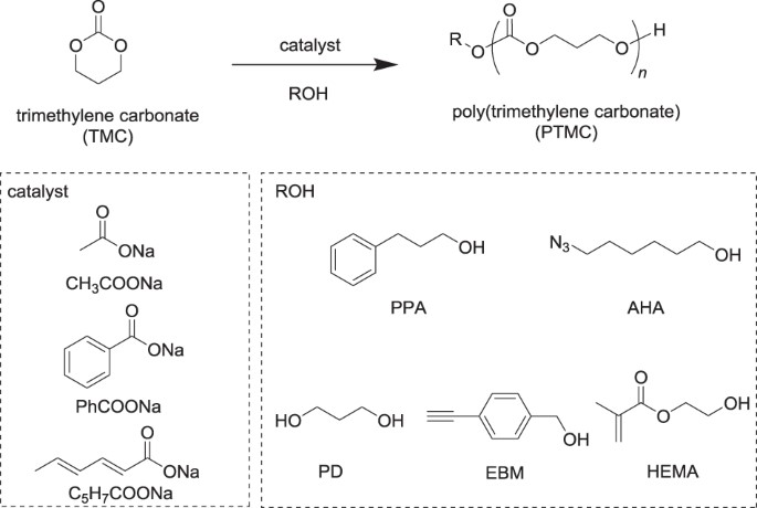What is Trimethylene Carbonate Monomer?