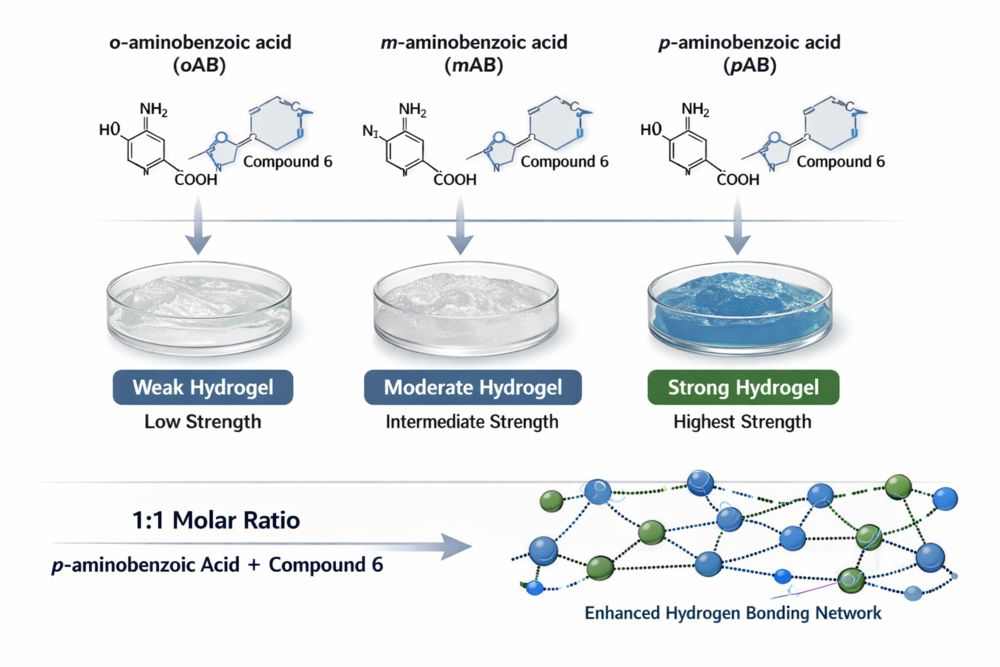 Which AB Ratio Yields The Strongest Hydrogel?