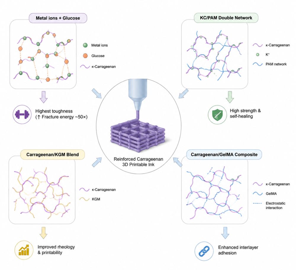 Which Reinforcement Agents Best Overcome the Fragility of 3D Printable Carrageenan Inks?