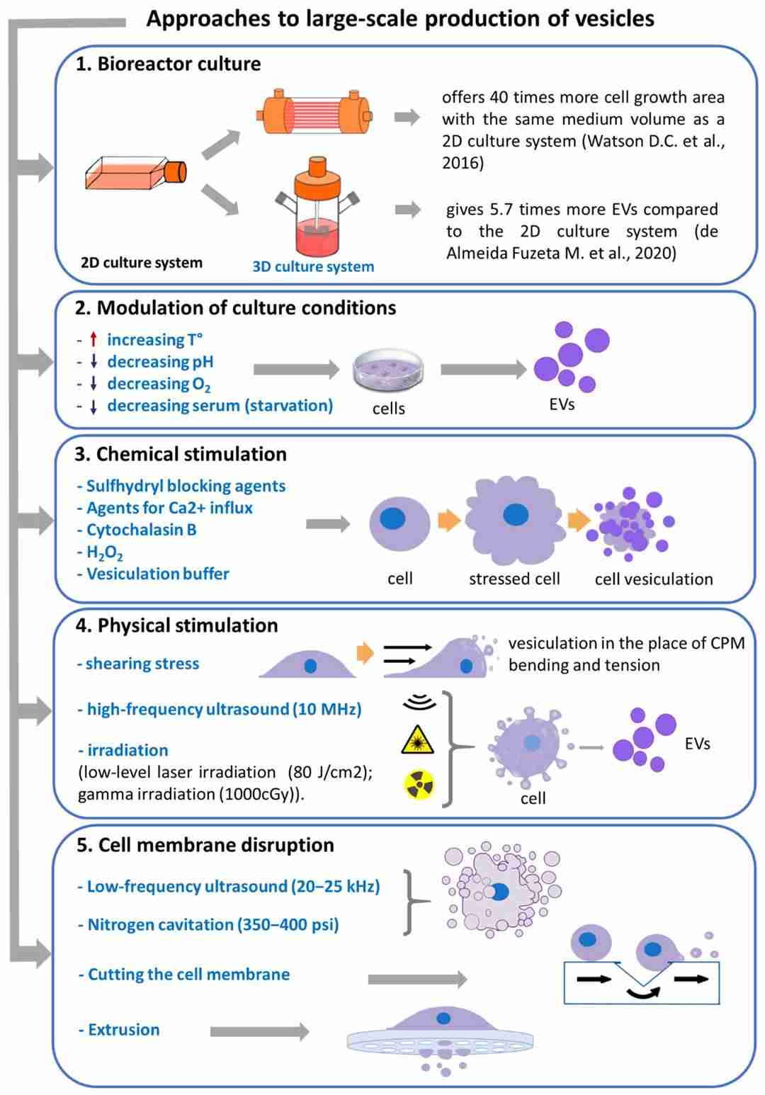 Why Consistency is Critical in Industrial-Scale Exosome Production?